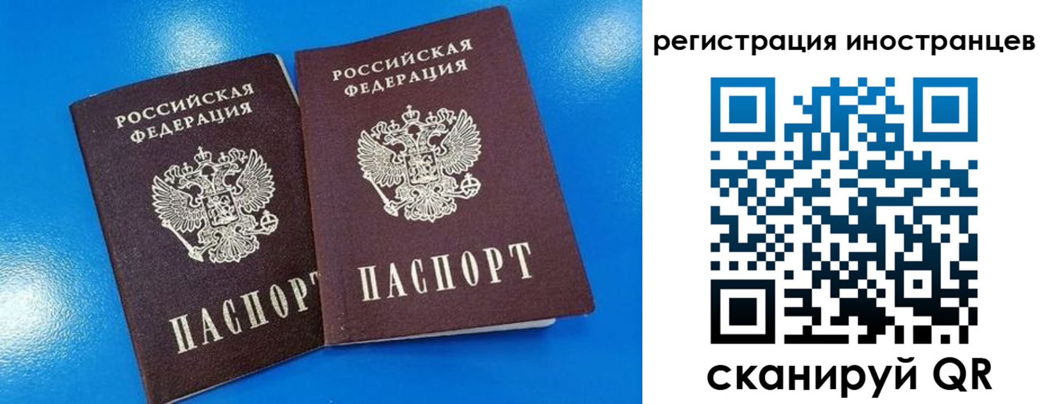 временная регистрация поиск в Волосово