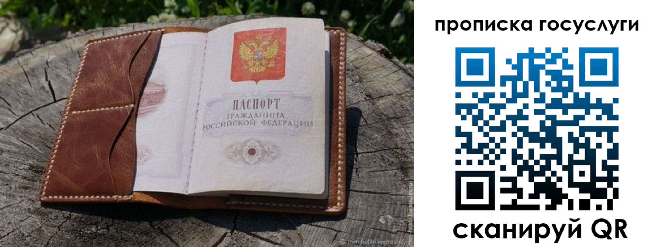 прописка для школы в Волосово